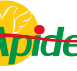 logo_apidev