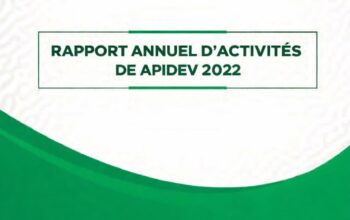 Rapport annuel d'activités de APIDEV_2022