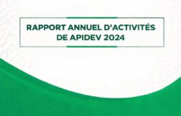 Rapport annuel d'activités de APIDEV_2024