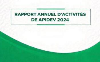 Rapport annuel d'activités de APIDEV_2024